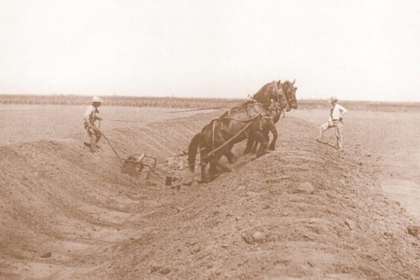Horseteam Digging in Ditch